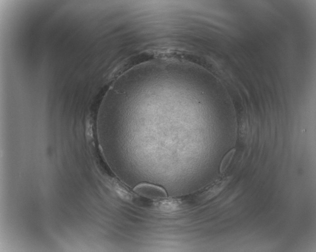 X0000067470282200604071202