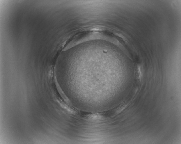 X0000067470284200604071202