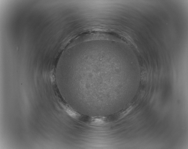 X0000067470285200604071202