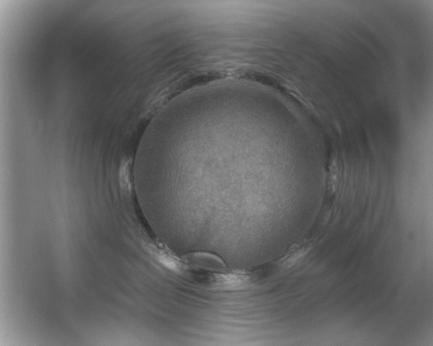 X0000067470286200604071202