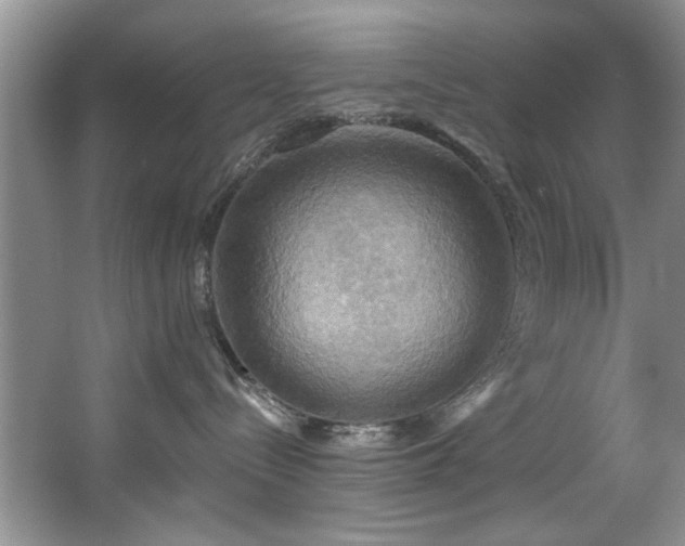 X0000067470288200604071202