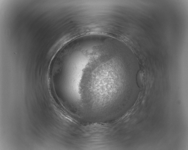 X0000067470290200604071201