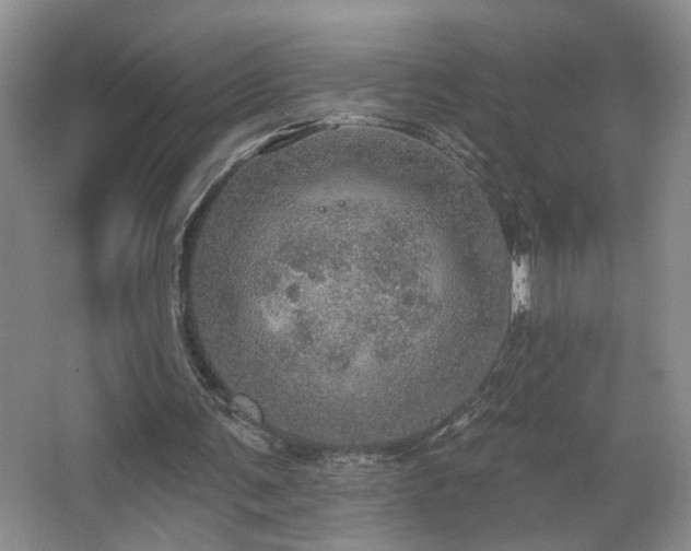 X0000067470291200604071201