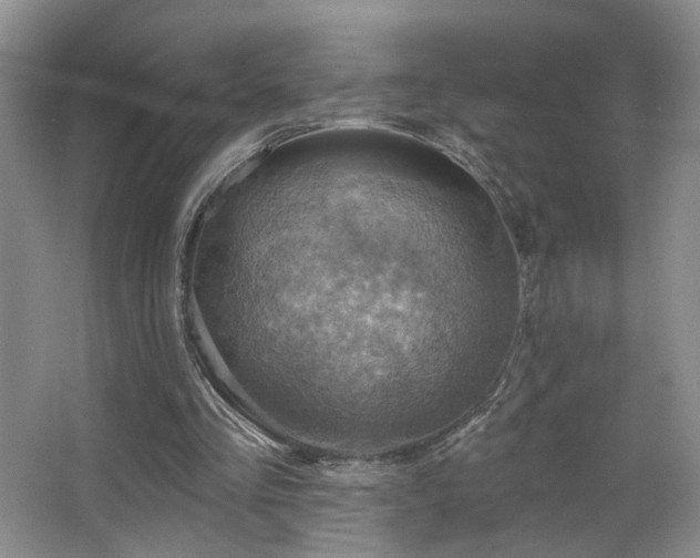 X0000067470293200604071201