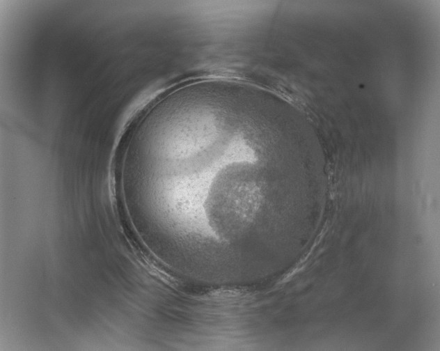 X0000067470294200604071201