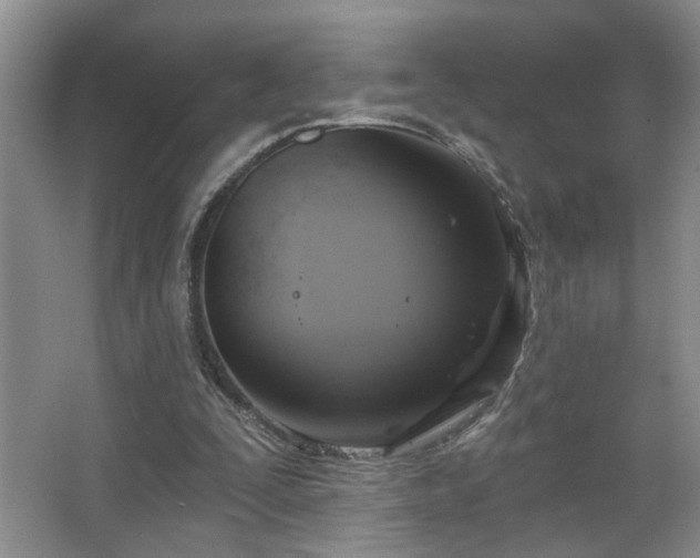 X0000067470295200604071201