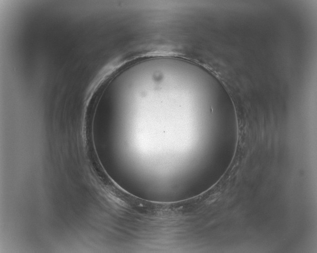 X0000067470296200604071201