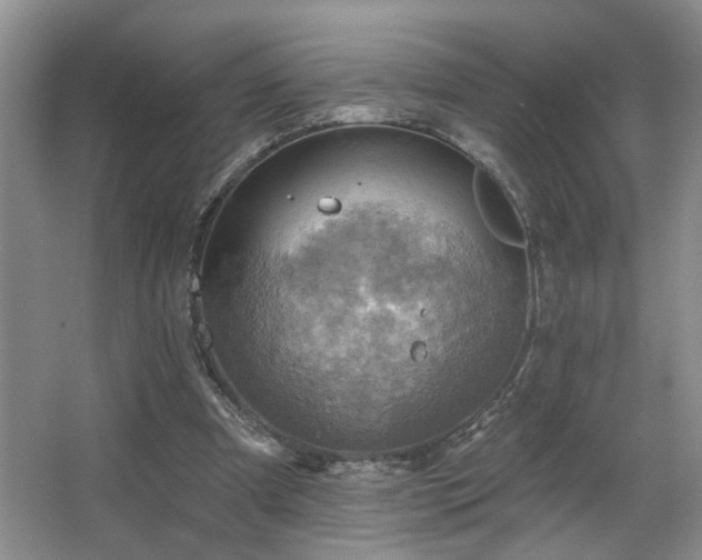 X0000067470297200604071201