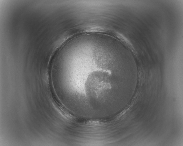 X0000067470298200604071201