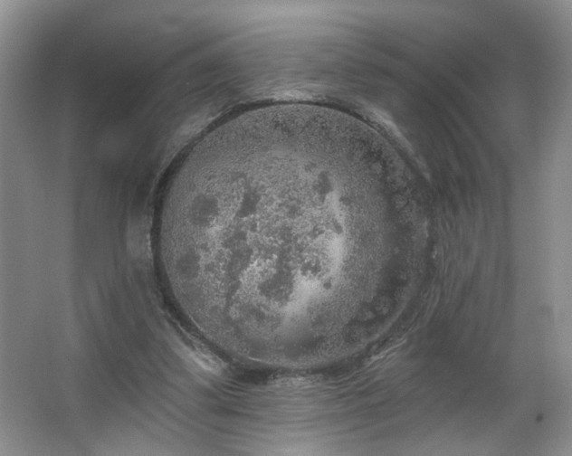 X0000067470299200604071201