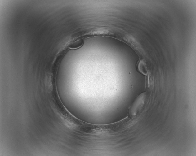 X0000067470300200604071201