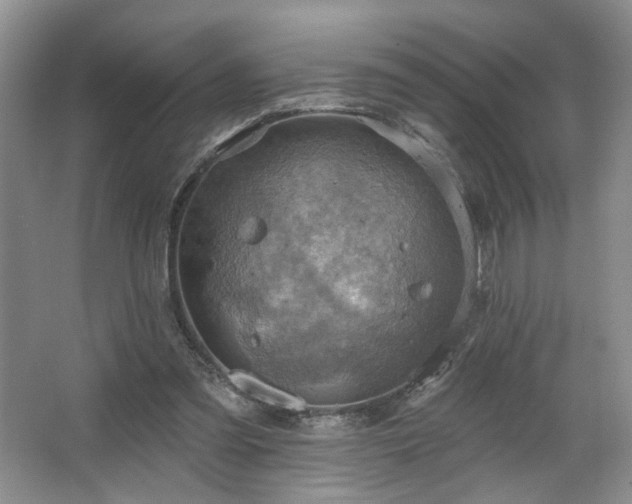 X0000067470301200604071201