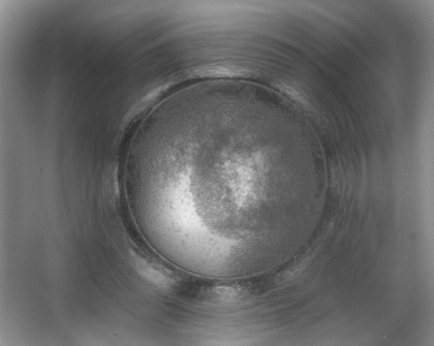 X0000067470302200604071201