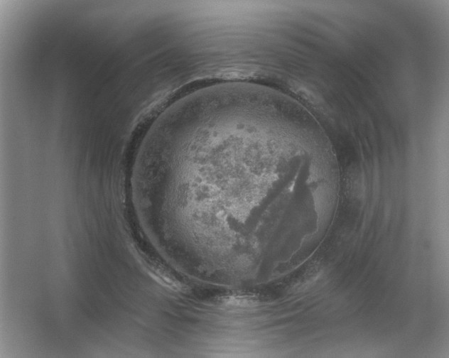 X0000067470303200604071201