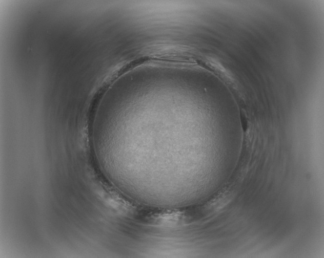 X0000067470306200604071201