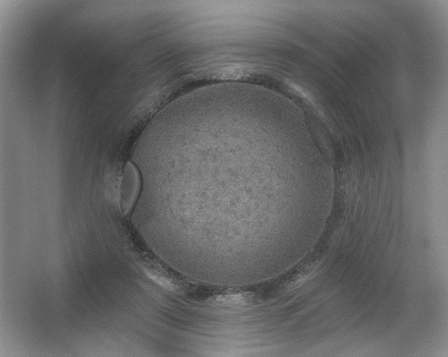 X0000067470307200604071201