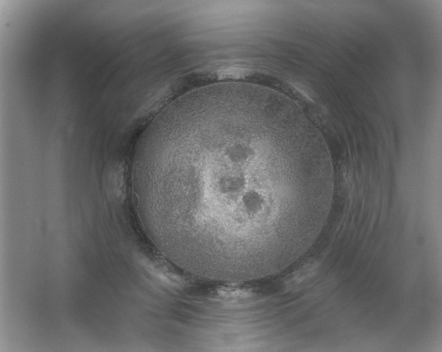 X0000067470311200604071201