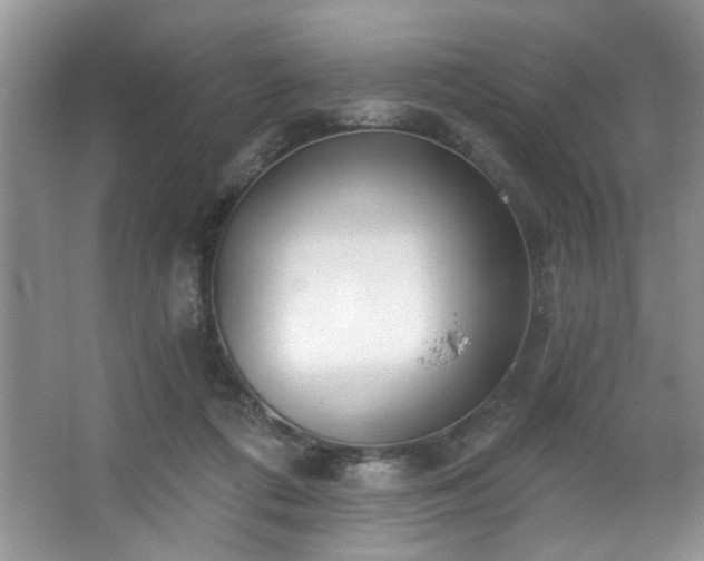 X0000067470312200604071201