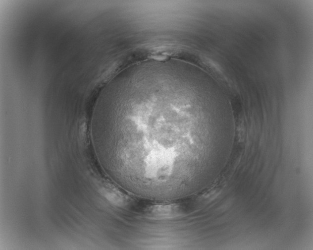 X0000067470314200604071201