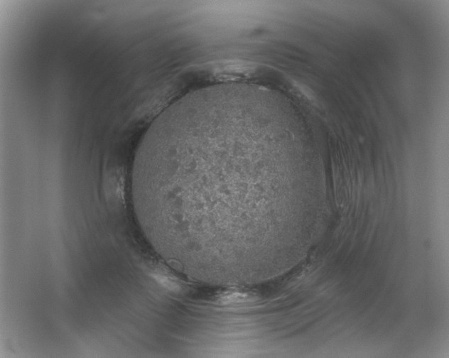 X0000067470315200604071201