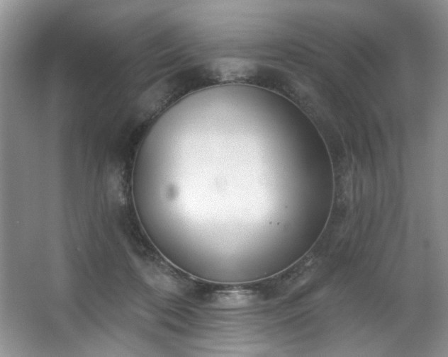 X0000067470316200604071201