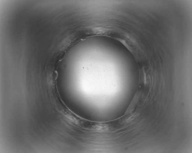 X0000067470317200604071201