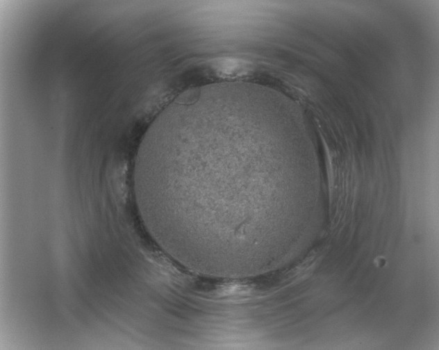 X0000067470319200604071201