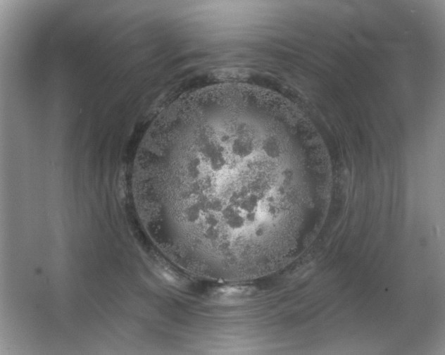 X0000067470323200604071201