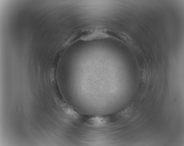 X0000067470326200604071201