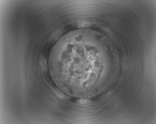 X0000067470327200604071201