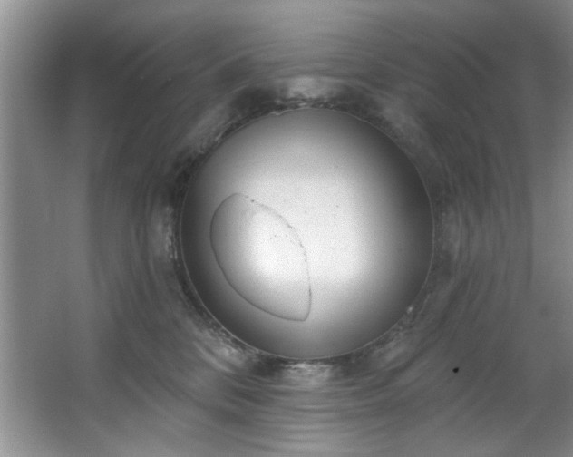 X0000067470328200604071201