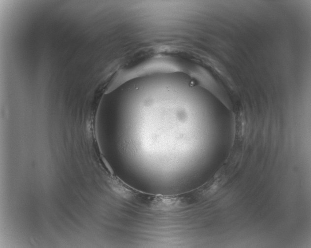 X0000067470329200604071201