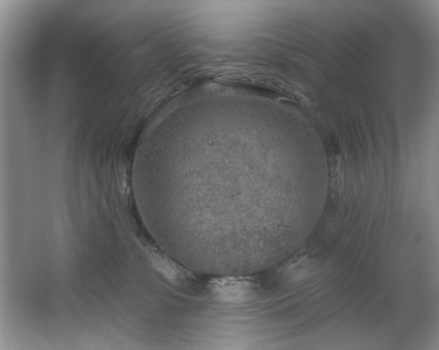 X0000067470331200604071201