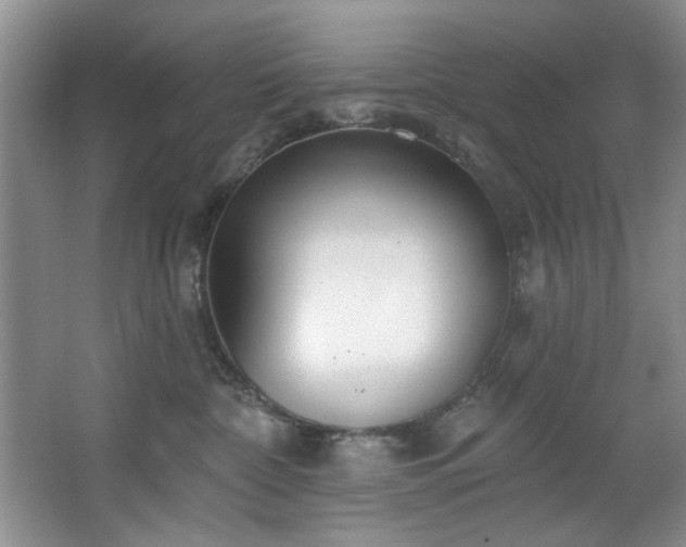 X0000067470332200604071200