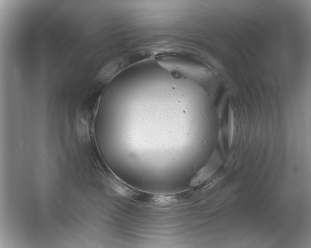 X0000067470333200604071200