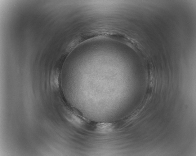 X0000067470334200604071200