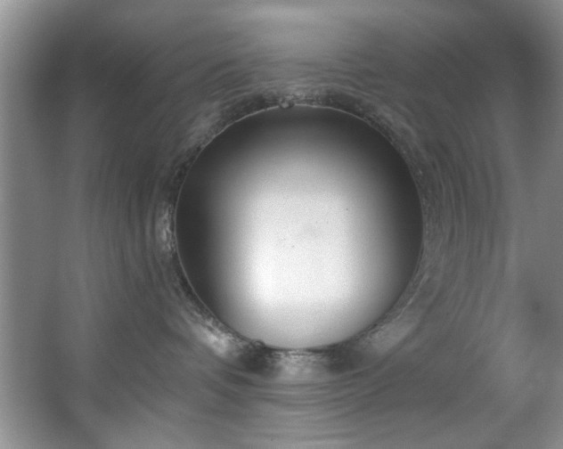 X0000067470336200604071200