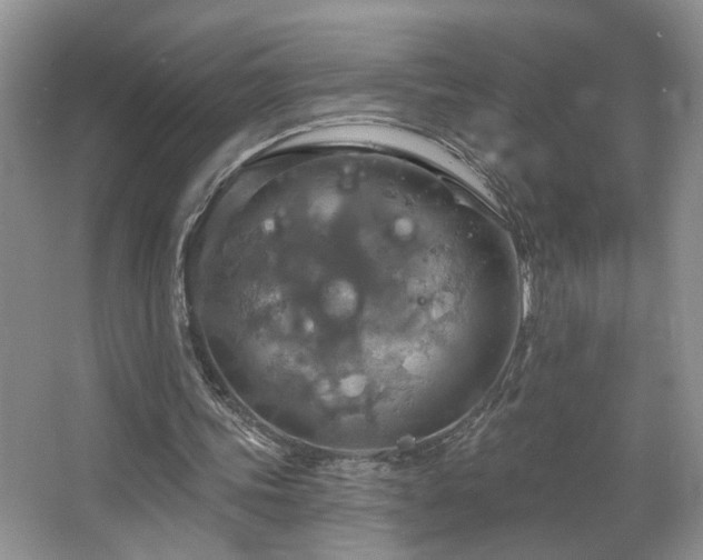 X0000067470339200604071200