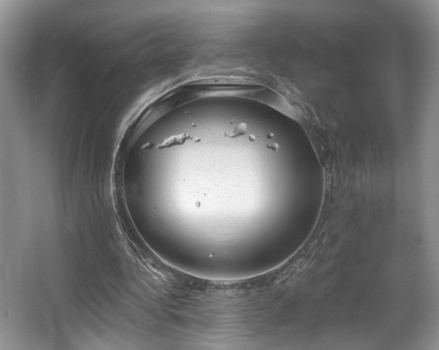 X0000067470340200604071200