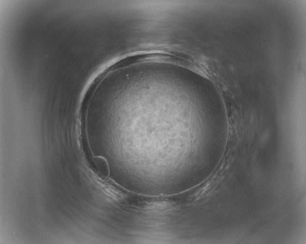 X0000067470342200604071200