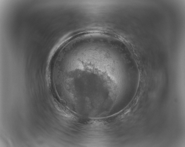 X0000067470343200604071200