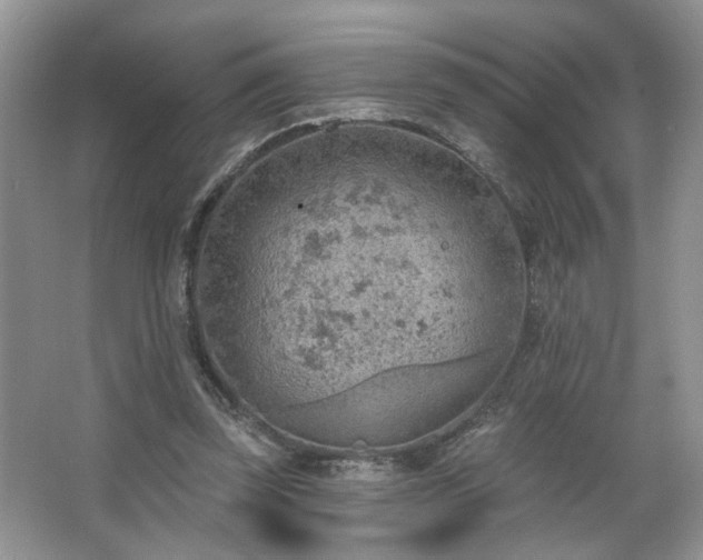 X0000067470347200604071200