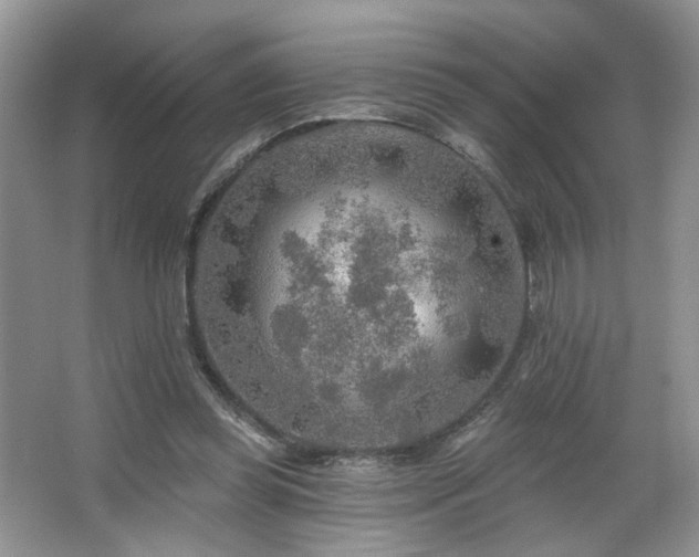 X0000067470349200604071200