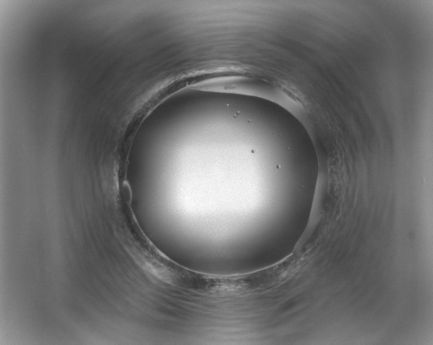 X0000067470350200604071200