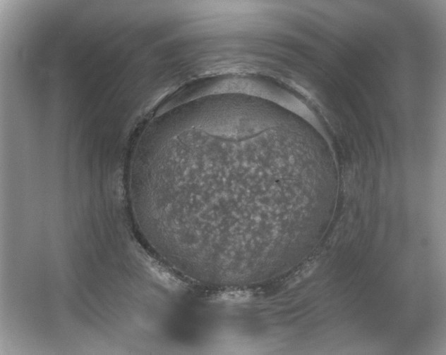 X0000067470353200604071200