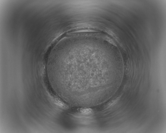 X0000067470355200604071200