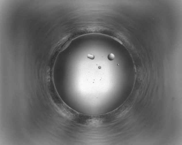 X0000067470356200604071200