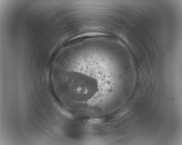 X0000067470357200604071200