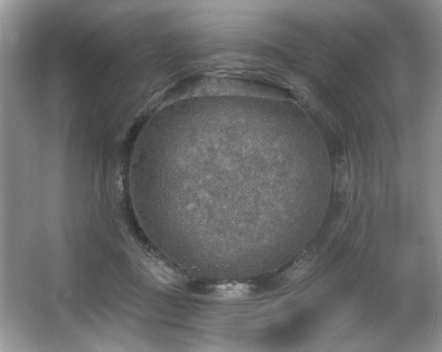 X0000067470363200604071200