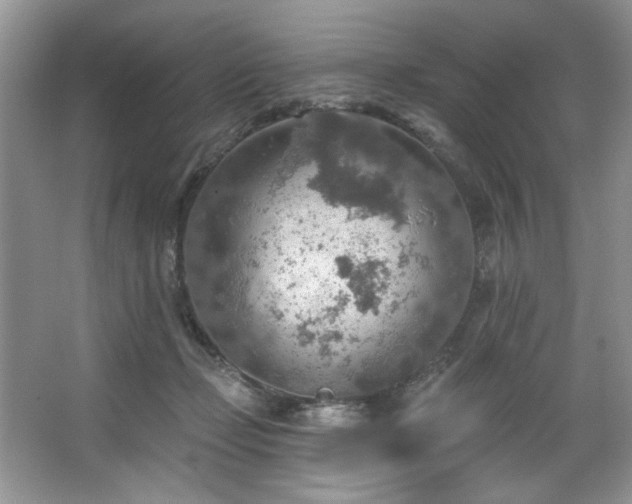 X0000067470365200604071200